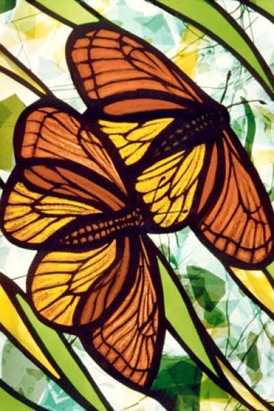 vlindersCB3E20CB-AE75-4F2C-02F8-D1E1D40A7936.jpg