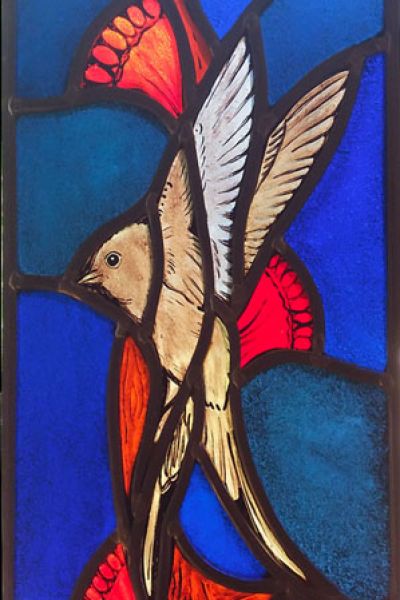 vogel-35E029FA2-86D7-864B-8902-4F8D9EFFFB70.jpg