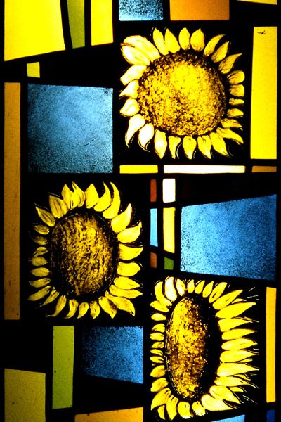 zonnenbloemen752D297C-941D-F0C8-A466-FC8AD46A6BAB.jpg